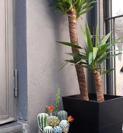 Appartement Terra Mia Catane