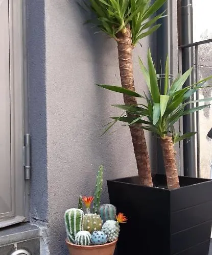 Apartman Terra Mia Catania